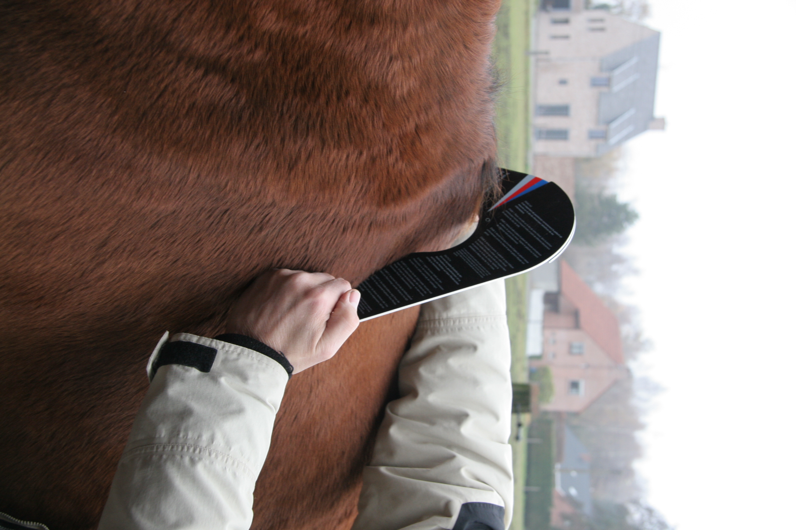 De zadelpasser Meet Breedte Paardenrug