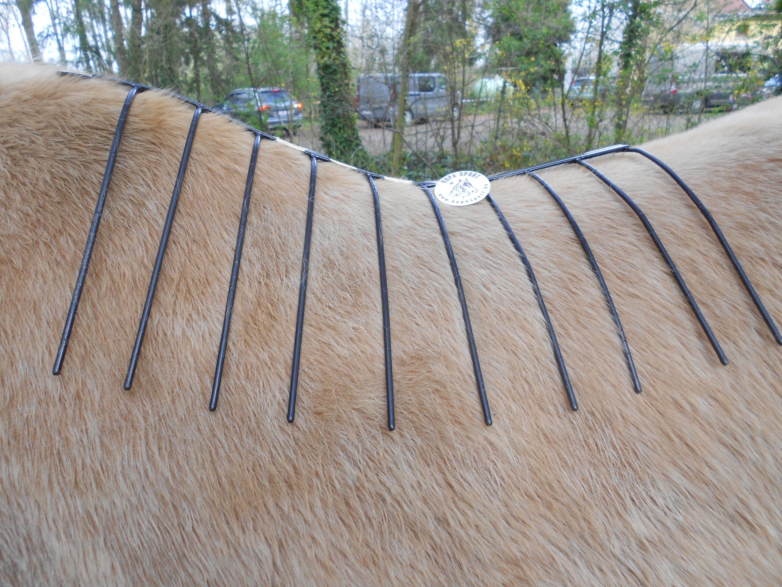 Zadelpasser Jean-Paul test Gitter Op Licht Paard