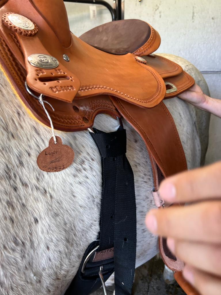 Singelsysteem Westernzadel Op Paard