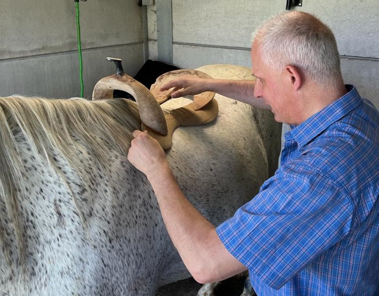 Zadelboom Op Wit Paard